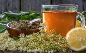 Como se livrar dos parasitas no corpo com remédios populares