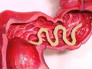 parasitas no corpo humano por que eles aparecem