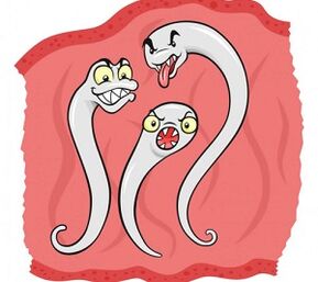 quais parasitas podem viver no corpo humano