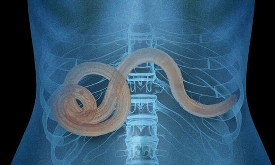 parasita no corpo humano